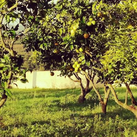 Casa Do Pinheiro Near Obidos With Garden Дом отдыха *