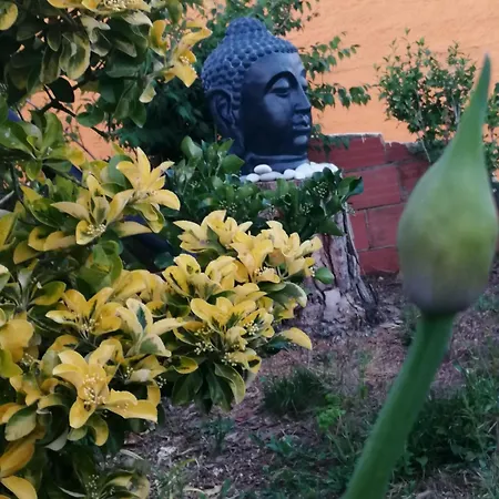 Casa Do Pinheiro Near Obidos With Garden Дом отдыха Carvalhal (Leiria)
