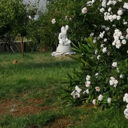 Casa Do Pinheiro Near Obidos With Garden Дом отдыха