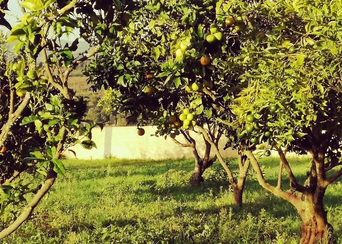 Casa Do Pinheiro Near óbidos With Garden Casa de Férias *