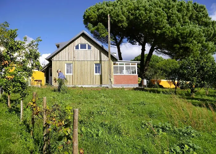 Casa de Férias Casa Do Pinheiro Near óbidos With Garden
